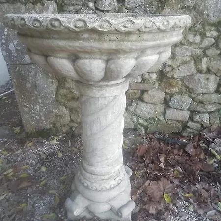 Chateau De Fajac La Selve Panzió