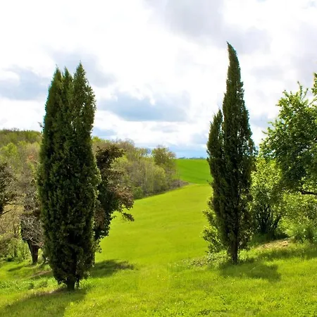 Chateau De Fajac La Selve Bed & Breakfast
